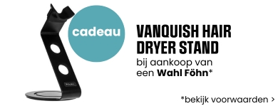 Wahl Gift Banner Feb 2026