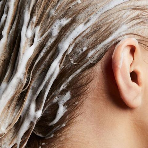 REF - Ultimate Repair - Shampoo