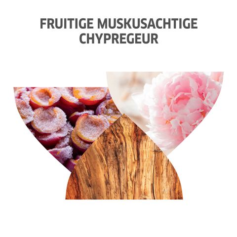 Wella - Invigo - Nutri-Enrich - Luscious Mousse Mask - 150 ml