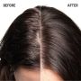 Goldwell - Dualsenses - Scalp Specialist - Scalp Rebalance & Hydrate Fluid - 150 ml