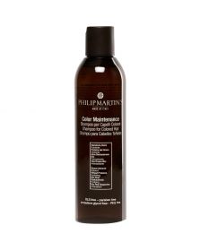 Philip Martin's - Color Maintenance - 250 ml