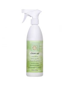 Clean and Easy - Clean Up Surface Cleanser - 473 ml