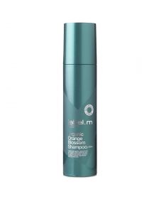 Label.M Organic Orange Blossom Shampoo