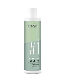 Indola - Innova - Dandruff Shampoo - 300 ml