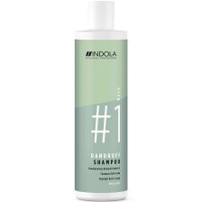 Indola - Innova - Dandruff Shampoo - 300 ml
